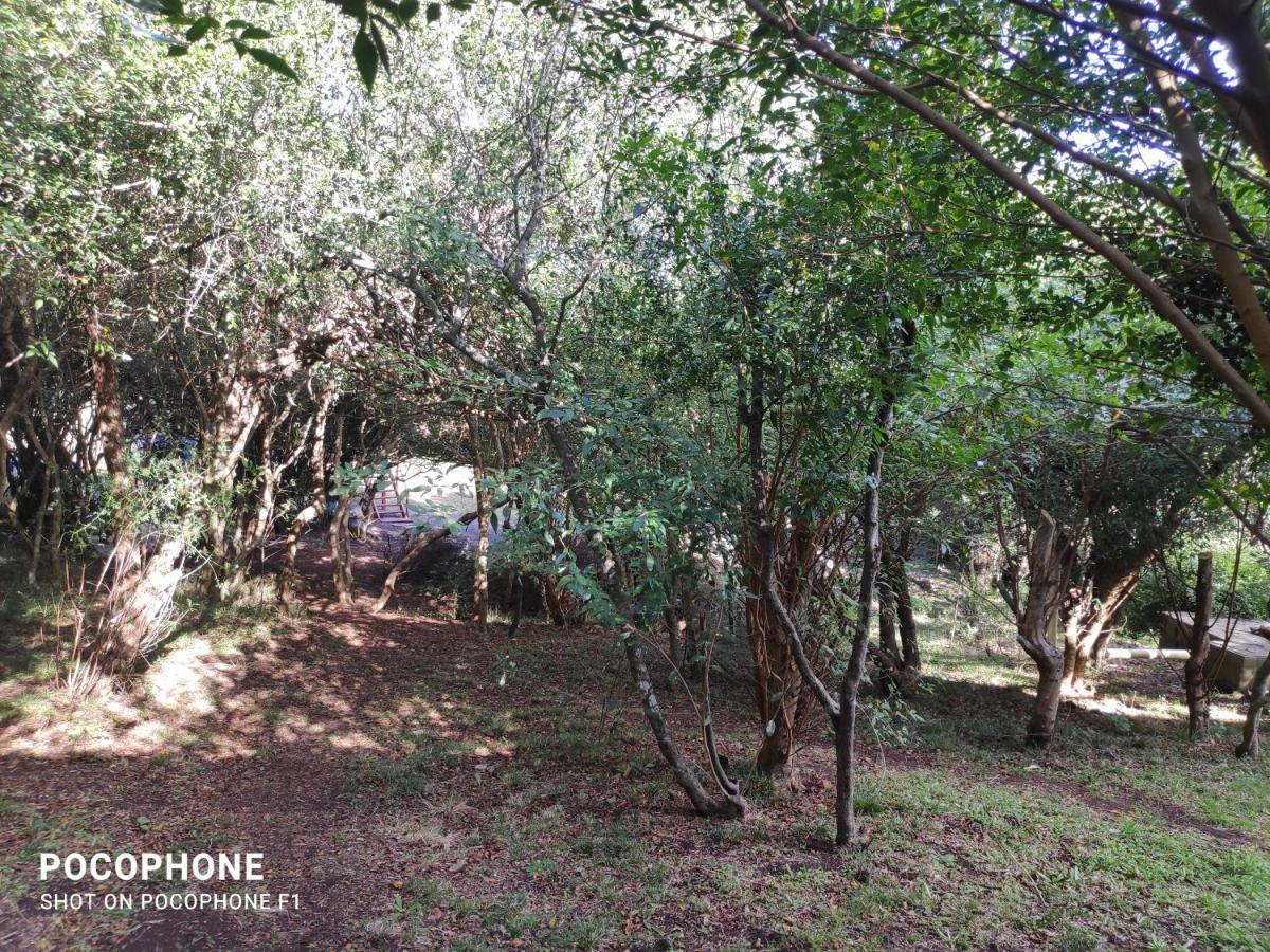 Cabaña Los Pololos Villa Serrana Exterior foto